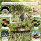 Ready-to-Use Glass Terrarium with Vents - 8.66"x4.72"x8.46" House-Shaped Jumping Spider Enclosure, Habitat for Praying Mantis, Snails, Insect or Succulent Plants - Home Garden Tabletop Decor