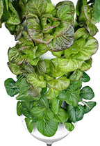HX Aeroponic Tower | High Capacity Tower | Hydroponics Growing System Kit | Food Grade with 40 Net Pots (Without Lights)