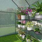 Greenhouse for Outdoors, Small Greenhouse, Walk-in Greenhouses with 3 Tiers 8 Shelves, PE Cover, Heavy Duty Plant Greenhouses for Garden and Backyard