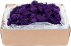 SuperMoss (21798) Reindeer Moss – Soft Preserved Moss for Home Decor, Crafts, Terrariums, Floral Design, and Wedding Decorations, 2,588 cu in, Purple