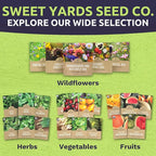Organic Tomato Seeds Variety Pack - 12 Individual Packs - 2026 Season - Roma, Cherry, Black Krim, Yellow Pear, Pineapple and More! for Indoor & Outdoor Planting (Non-GMO, Certified Organic)