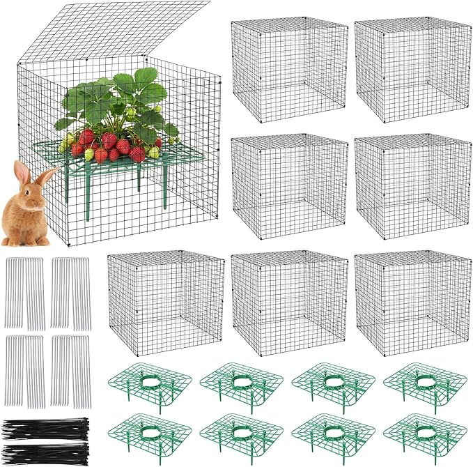 8 Set Strawberry Supports with Wire Plant Protectors from Animal 2 x 12 Inch Metal Garden Protection Cage for Strawberries Vegetables Shrubs Rabbit Proof Cage Set for Outdoor Garden