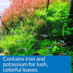 API LEAF ZONE Freshwater Aquarium Plant Fertilizer 18-Ounce Bottle White