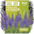 KVITER 800 Hyssop Seeds (Hyssopus Officinalis) - Syrian Oregano, Aromatic Medicinal Herb with Blue Flowers, Heirloom Seed Packets - Perennial Herb Seeds for Gardens, Containers & Outdoor Beds