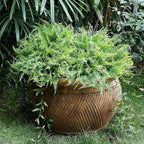 Set of 2 Large Potted Plants Artificial Ferns for Outdoor - Already Assembly Faux Ferns in Pots UV Resistant Realistic Fake Greenery Potted for Outdoor Home Office Patios Porches Yards Decor