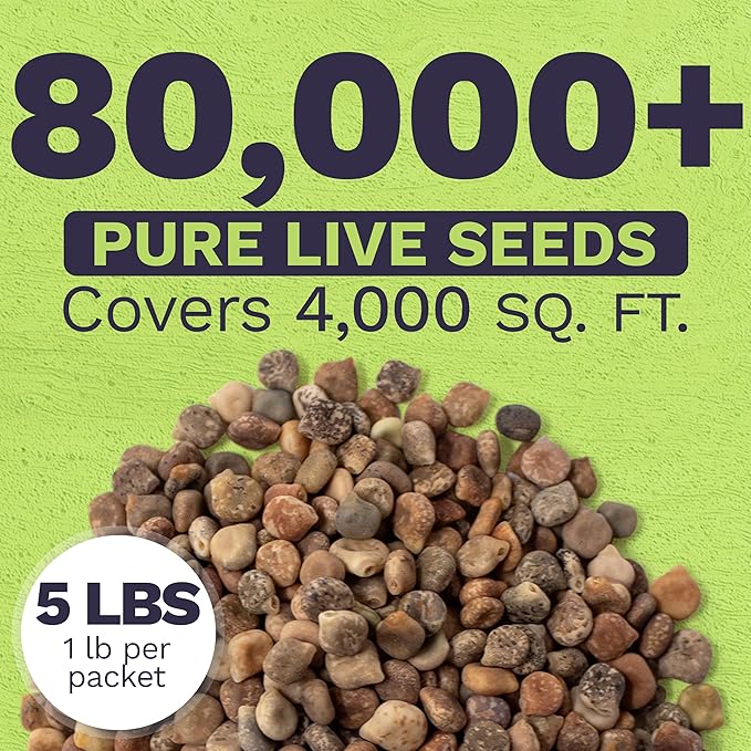 Bulk Texas Bluebonnet Wildflower Seeds - 5 Pounds - Over 80,000 Native Seeds - Texas State Flower!