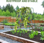 Compact U-Shaped Plant Trellis for Peas, Beans & Light Climbing Plants - Rust-Resistant, Foldable Design, Lightweight Steel, Ideal for Raised Beds & Patio Gardens(31" W x 47" H)