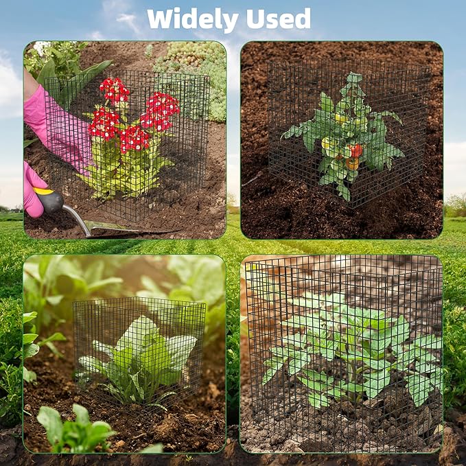 UNIFAMILY 8Pcs Plant Protectors from Animals, 2 Pack Metal Wire Plant Cage, Garden Protector Cage from Deer, Mesh Garden Protector from Rabbits, Chicken Wire Plant Covers from Animals