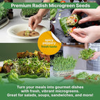 Organo Republic Radish Sprouting & Microgreens Seeds - Non-GMO, Heirloom Sprout Seeds Kit, 1lb Resealable Bag for & Growing Microgreens in Soil, Coconut Coir, Aerogarden & Hydroponic System.