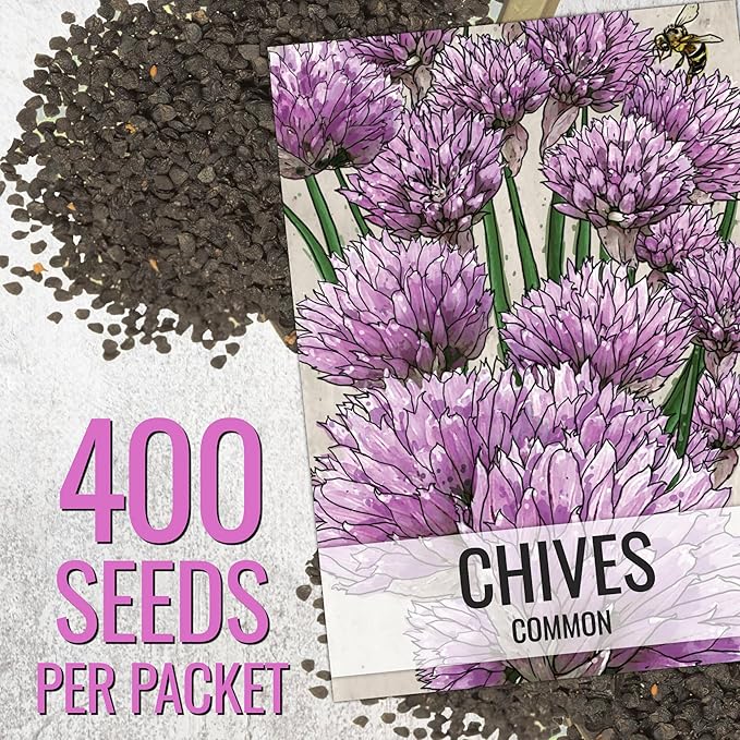 Seed Needs Borage & Chives Seeds for Planting Fresh Kitchen Herbs - Non-GMO Heirloom & Untreated Perennial Herb Seed to Plant a Culinary Garden Indoors or Outdoors (2 Pack Duo)