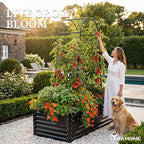 YITAHOME 6x3x2ft Galvanized Raised Garden Bed with Tall Arch Trellis, Galvanized Planter Box with Vertical Netting, Gloves, Support Rod, Outdoor Flower Bed for Plants, Vegetables, Flowers, Black