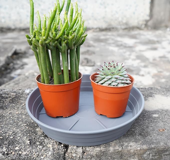 LWALRS Plant Saucer 14 Inch 2 Pack 6 8 10 12 14 16 18 20 25, Plastic Plant Trays for Pots，Extra-Deep Plant Water Dray Tray, Bird Bath Bowl, Heavy Flower Plant Saucers Indoors and Outdoor No Holes