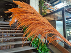 Pampas Grass Decor Tall,Burnt Orange Dried Pampas Grass for Vase, Large Natural Pompas Floral, Elegant Feather Flowers,Wedding Living Room Farmhouse Decor (Natural Orange, 4pcs 43.3"(110cm))