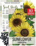 Seed Needs Lemon Queen Sunflower Seeds for Planting Sunflowers - Heirloom & Open Pollinated Flower Seed to Plant & Grow an Outdoor Home Grown Butterfly Garden (1 Pack)