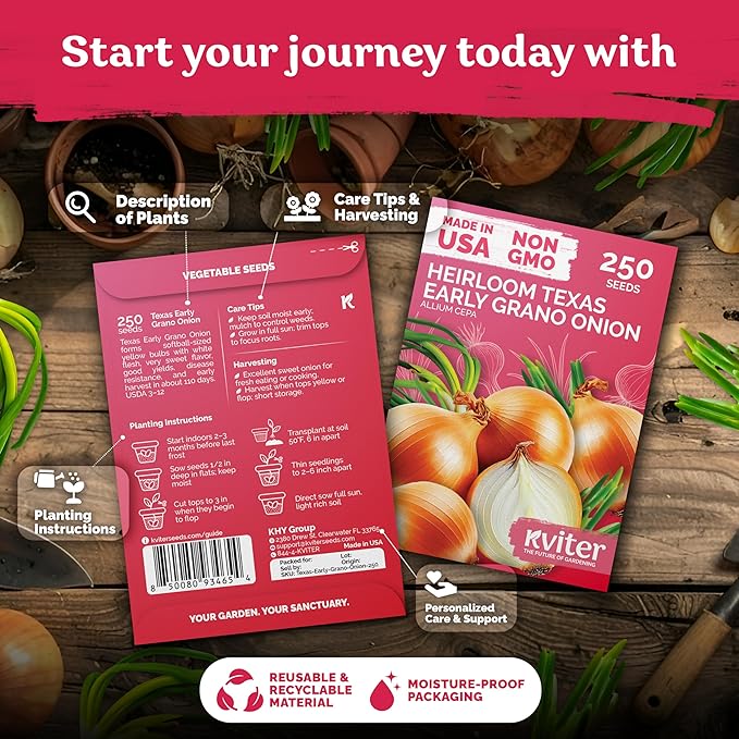 KVITER 250 Texas Early Grano Onion Seeds (Allium Cepa) - Sweet Onions, Short-Day, Non GMO Onion Seed Packets - Heirloom Vegetable Seeds for Outdoors, Vegetable Garden, Kitchen Containers