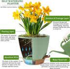 Self Watering Pots for Inoor Ourdoor Plants 8/7/6.5/6/5 Inch Plastic Planters with Drainage Holes & Water Level Indicator, Decorative House Flower Nursery Planting Pots with Saucers(Green)