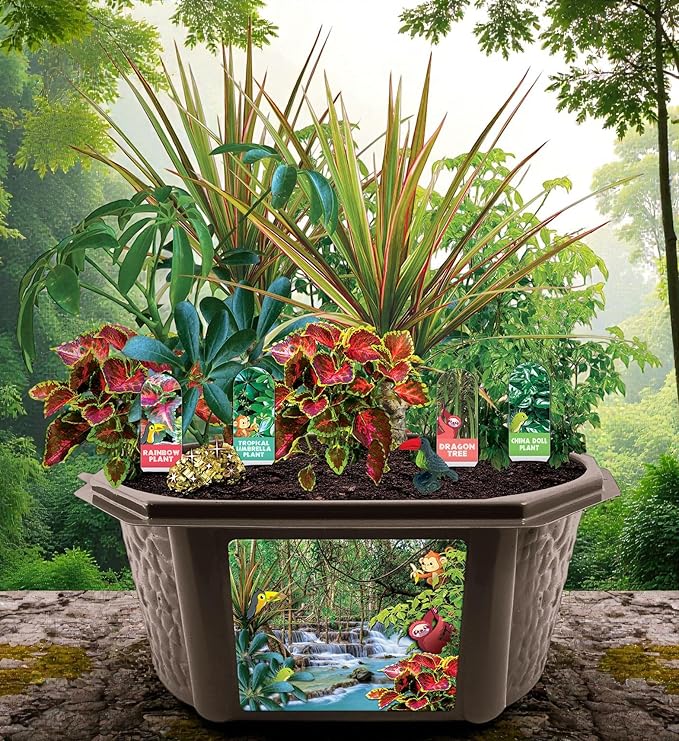 Toys by Biosphere Terrarium Starter Kit with Complete Supplies to Create Your Own Jungle! Indoor Plants for Home Displays and Gardens (Tropical Rainforest Jungle)