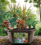 Toys by Biosphere Terrarium Starter Kit with Complete Supplies to Create Your Own Jungle! Indoor Plants for Home Displays and Gardens (Tropical Rainforest Jungle)
