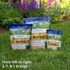 Jonathan Green (10322) Black Beauty Ultra Grass Seed - Cool Season Lawn Seed (7 lb)