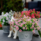 AXYLEX Artificial Flowers for Outdoors Fake Plants - 16 Bundles Faux Outside Greenery Boxwood No Fade Plastic Shrubs Fall Decor Farmhouse Home Garden Thanksgiving Mums (Pink)