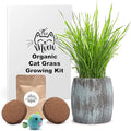 Cat Grass for Indoor Cats Kit – Best Value Organic Seed & Soil for 4 Plantings, Includes Cat Toy Gift & Hairball Remedy (Coastal Turquoise)