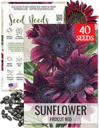 Seed Needs Procut Red Sunflower Seeds for Planting Burgundy Sunflowers - F1 Hybrid Flowers Great for Cutting in Bouquets & Floral Arrangements (1 Pack)