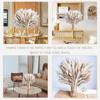300PCS Natural Dried Pampas Grass Boho Home Decor Bouquet Phragmites Dried Flowers Bouquet for Wedding Floral Arrangements Home Decorations (300PCS)
