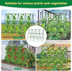 71" x 51" Cucumber Trellis for Raised Bed, A-Frame Garden Trellis for Climbing Plants Outdoor, Rust-Proof Metal Support for Tomato, Peas, Beans, Zucchini & Vines, with Netting & Clips