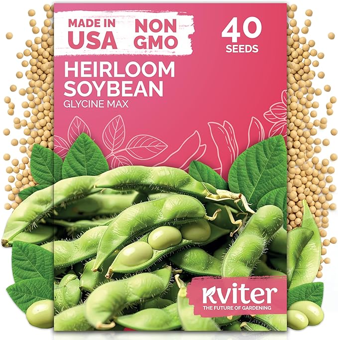 KVITER 40 Soy Bean Midori Giant Edamame Seeds (Glycine max) - Green Soybean, Soy Beans Organic Non GMO Variety, Sweet Nutty Flavor - Heirloom Vegetable Seeds for Planting Outdoors in Home Garden