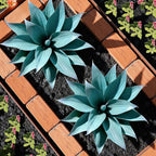 Ttranewsoo Fake Plants Artificial Agave Plants 13.8" Large UV Resistant Fake Agave Planters for Indoor and Outdoor Decorating Tropical Plant Succulents Greenery Indoor Decor (Blue) 2Pack