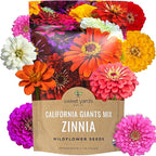 Bulk Zinnia Seeds - California Giants Mix - Bulk 1/4 Pound Bag Over 12,000 Flower Seeds - Mixed Colors and Large Blooms