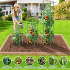 Garden Trellis, New Widened 3 Pack Tomato Cage For Garden, Up To 57'' Heavy-Duty Plant Support Tomato Trellis, Adjustable Height Tomato Stakes,Climbing Vines Flowers Stands Cucumber Trellis Plant Cage