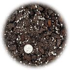 Gardenera Professional Succulent Soil Premium All Purpose Blend | Pre-Mixed Ready to Use for Cactus and Succulents | Sphagnum Peat Moss, Perlite, New Zealand Pine Bark - Made in USA - 10 Quart