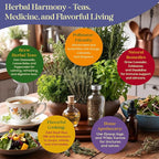 Seedphony 35 Medicinal & Tea Herb Seeds Variety Pack - 16,285+ Non-GMO Heirloom Herbs Seeds for Planting Indoor & Outdoor: Lavender, Rosemary, Echinacea, Mint, Catnip, Basil - Gardening Seed Packets