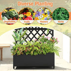 Metal Raised Garden Bed with Diamond Lattice Trellis, Outdoor Planter Box for Climbing Plants Vegetables Vines, Galvanized Garden Box with Drainage Holes and Wheels, Black (35.4"L x 16.7"W x 73.2"H)