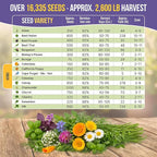 35 Medicinal & Tea Herb Seeds Variety Pack for Indoor & Outdoors. 16,335+ Non-GMO Heirloom Garden Seeds: Anise, Bergamot, Borage, Cilantro, Chamomile, Dandelion, Rosemary Seeds & More