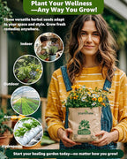 Medicinal Herb Seeds Variety Pack - 36 Heirloom Non-GMO Herbal Tea Garden Seeds: Chamomile, Lavender, Echinacea, Yarrow, Mugwort for Planting Indoor & Outdoor, Apothecary & Homesteading Supplies