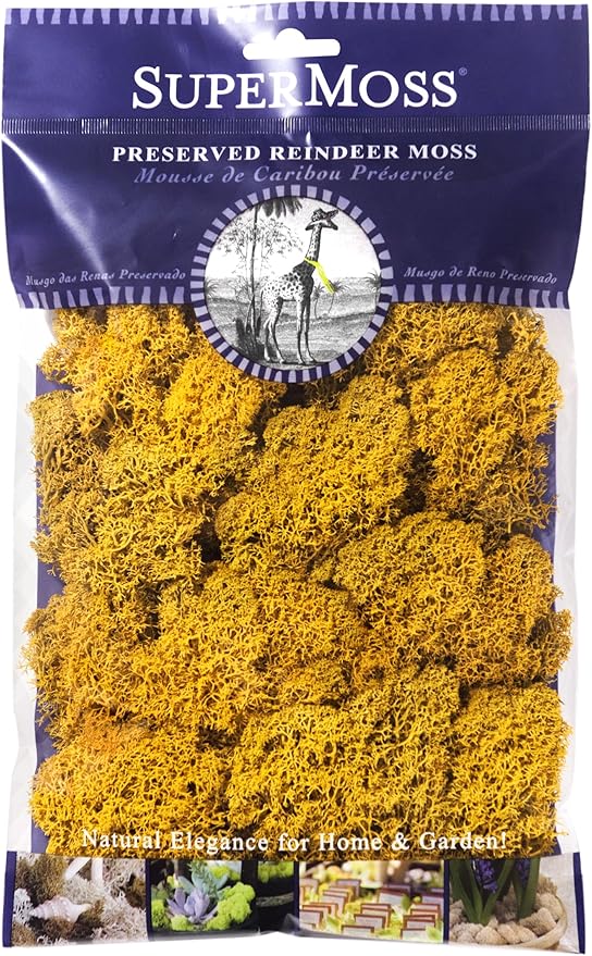 Super Moss (25125) Reindeer Moss Preserved, Mango, 2oz