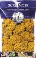 Super Moss (25125) Reindeer Moss Preserved, Mango, 2oz