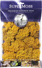 Super Moss (25125) Reindeer Moss Preserved, Mango, 2oz