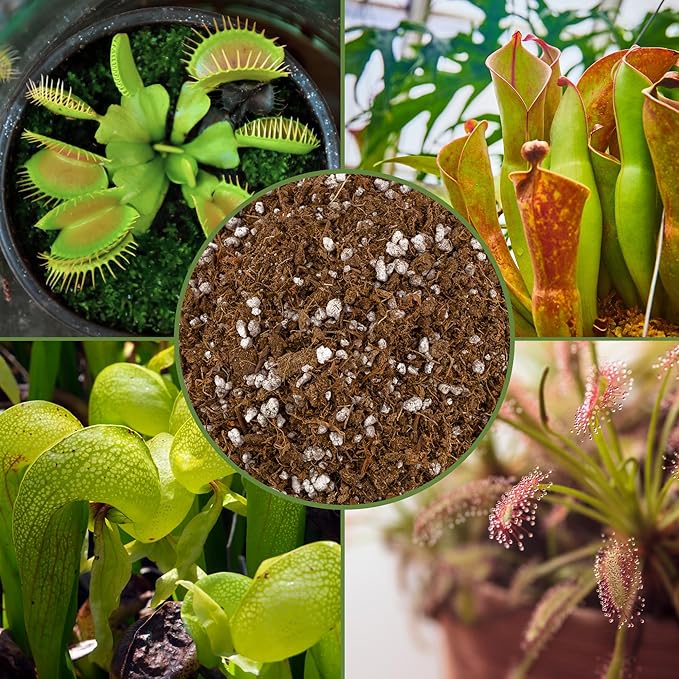 Soil Sunrise Carnivorous Plant Potting Soil Mix (2 Quarts) Ideal Additive for Venus Fly Traps, Sundews, and Pitcher Plants