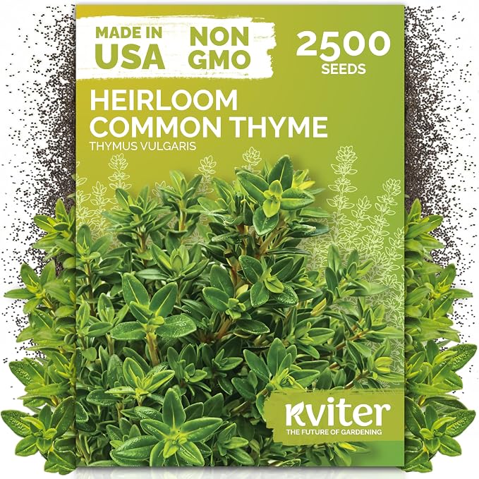 KVITER 2500 Common Thyme Seeds (Thymus Vulgaris) - Garden Thyme, Aromatic, Drought Tolerant, Non GMO Herb Seed Packets - Culinary Herb Seeds for Indoor and Outdoor Garden Beds, Containers
