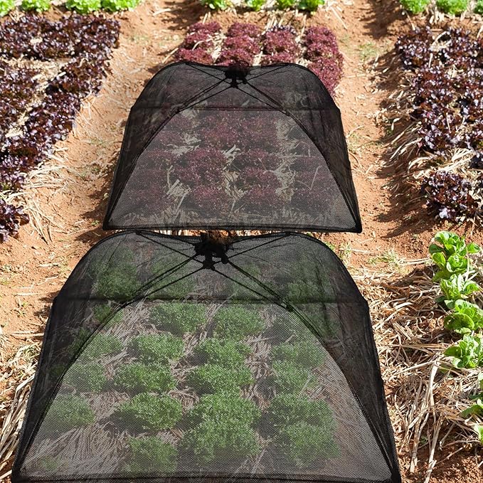 Sawysine 4 Pack Mesh Plant Cover Reusable Screen Cloche Dome Plant Protector Tent Collapsible Umbrella for Outdoor Garden Greenhouse Vegetable Flowers Strawberry from Animals (17 x 17 Inch,Black)