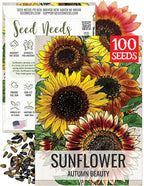 Seed Needs Autumn Beauty Sunflower Seeds for Planting Colorful Mixed Sunflowers - Heirloom & Open Pollinated Flower Seed to Plant an Outdoor Wildflower Butterfly Garden (1 Pack)