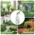 Neem Oil Spray for Plants with Peppermint Oil, Easy Ready to Use Natural Plant Wash and Foliage Care for Indoor and Outdoor Plants, Gardens, Houseplants & Vegetables, 16 oz