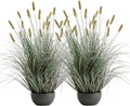 3ft Onion Grass Set of 2, Artificial Plant and Greenery, Fake Floor Plants Indoor Outdoor, Potted Faux Green Bristlegrass with Spikes, Large Size Horsetail Reed Grass, House Decorative