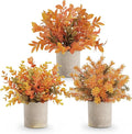 Der Rose 3 Pack Mini Potted Fake Plants Artificial Plastic Eucalyptus Plants Topiaries for Home Office Desk Farmhouse Shelf Room Bathroom Decor(Orange)