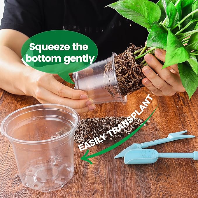 Bluepro 8 Packs 8 Inch Reinforced Large Clear Nursery Pots with Saucers, Transparent Plastic Plant Pot Seedling Planter with Drainage Holes for Vegetable Propagation, Root Cutting, Seed Starting