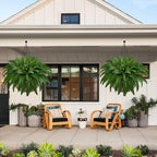 42In Artificial Boston Ferns Bush, Set of 2 Large Faux Ferns Plants, 79 Branches Fake Ferns for Home Living Room Decor, Indoor and Outdoor.