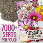 Seed Needs Wildflower Seeds Cosmos Crazy Blend 1.5 Ounce No Filler | 10+ Varieties Including Seashells, Purity & Candystripe | Cosmo Bipinnatus Open Pollinated Untreated | Bulk Resealable Packaging